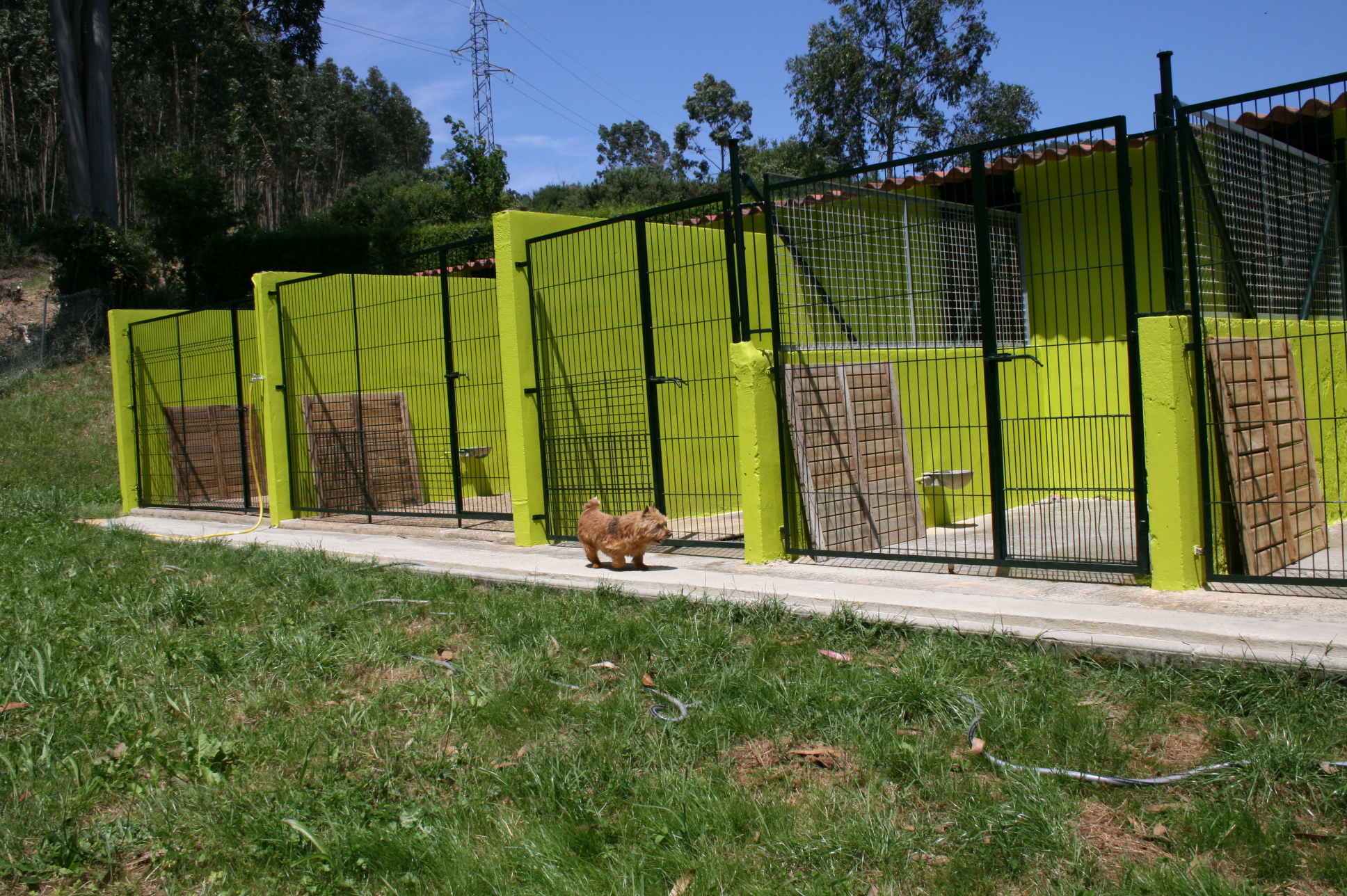 Zona de descanso en residencia canina profesional y cuidada