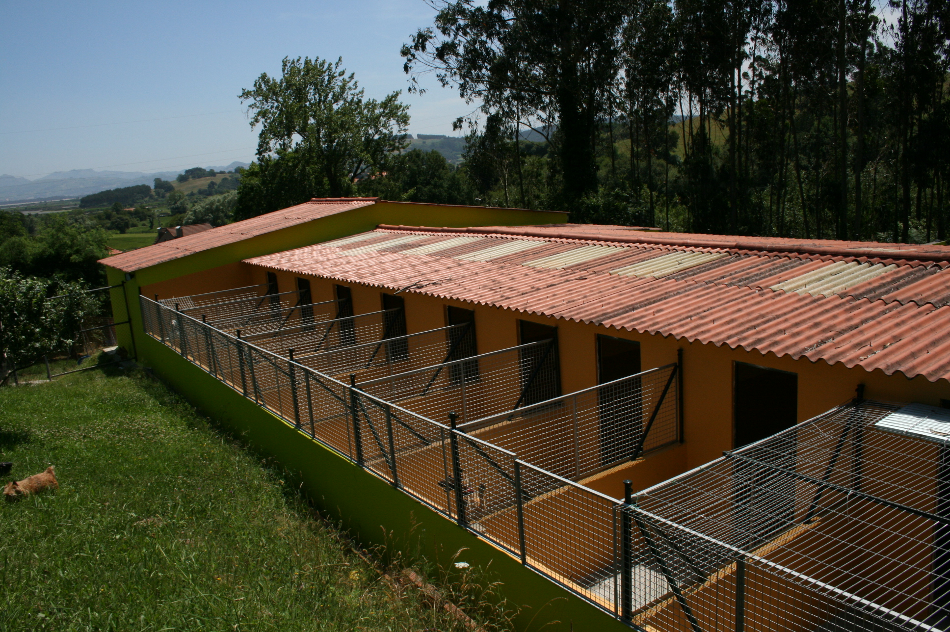 Zona de descanso en residencia canina profesional y cuidada